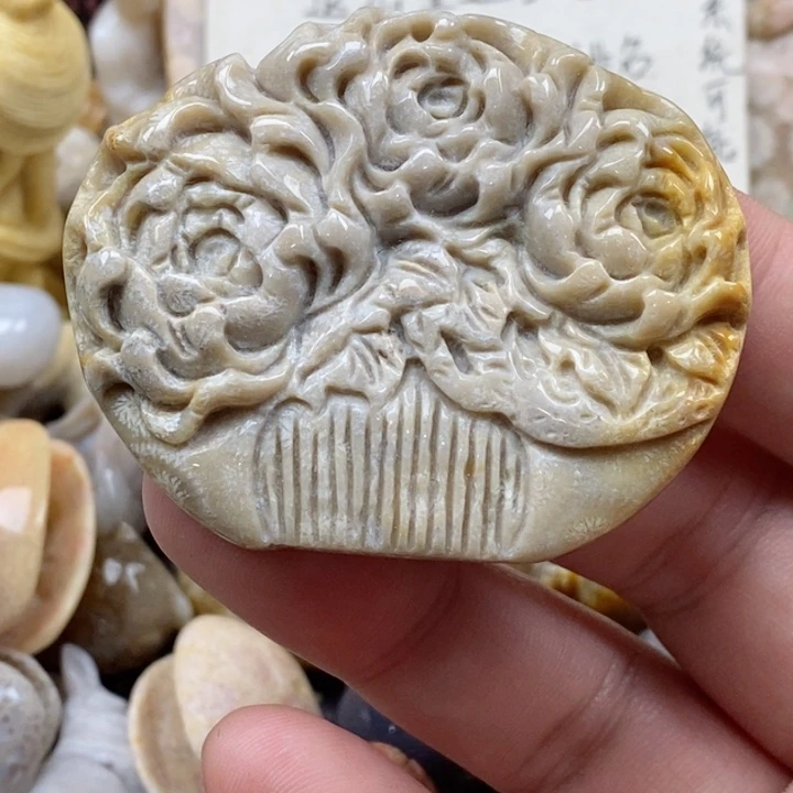 颈饰未镶嵌硅化珊瑚（珊瑚玉）