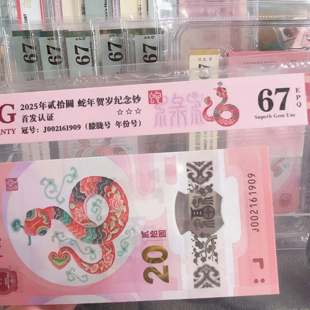 蛇钞朦胧02161909单张号码