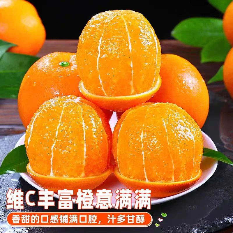自然熟高山纽荷尔脐橙产地直发现采现发应季鲜果