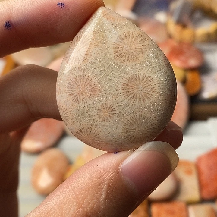 宝***碗硅化珊瑚未镶嵌颈饰