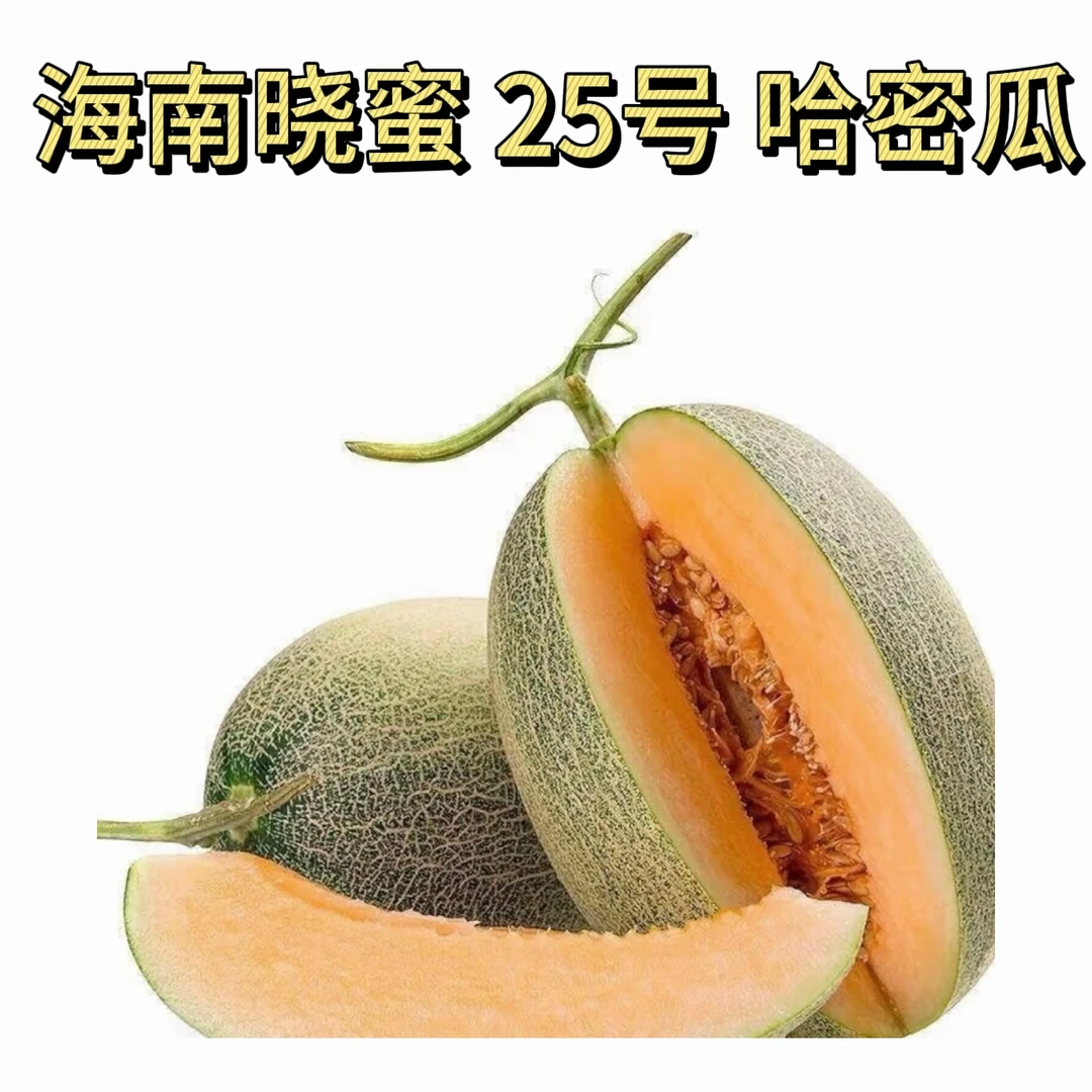【顺丰快递】海南岛沙地晓蜜瓜 脆甜多汁
