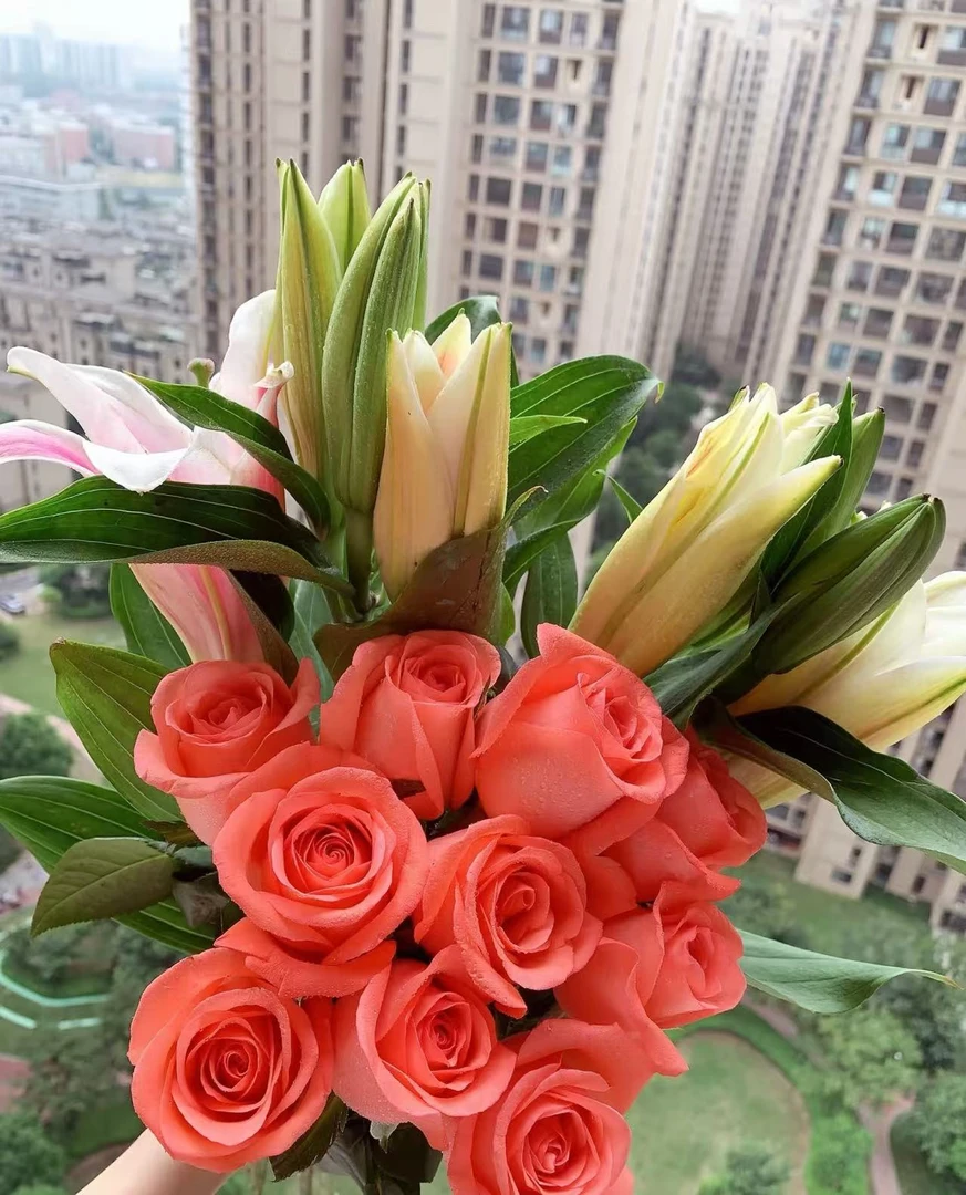 女神节鲜花福利: 粉玫瑰+红玫瑰+橙芭比+香水百合+向日葵+尤加利