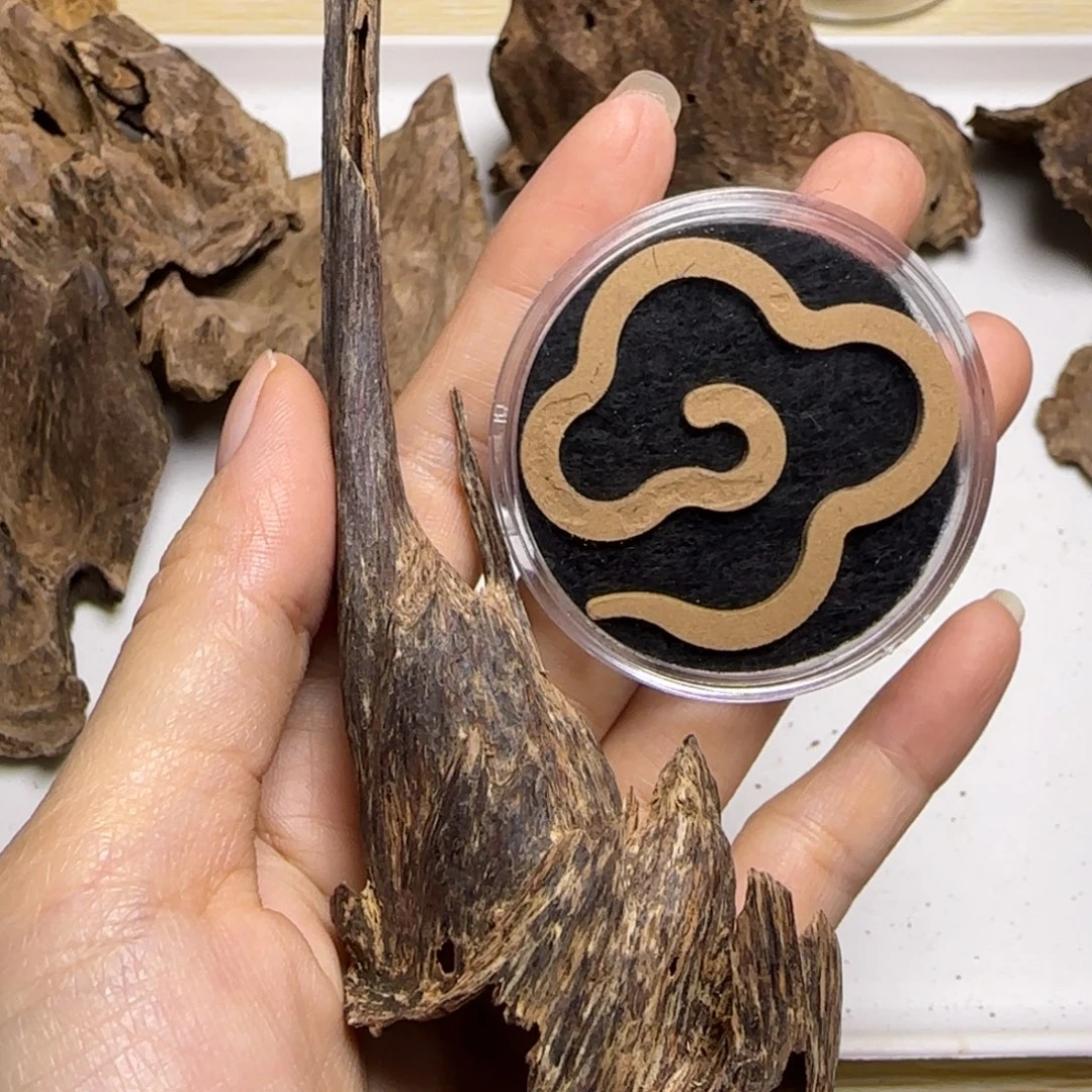 冰***熊海南树心油壳子料