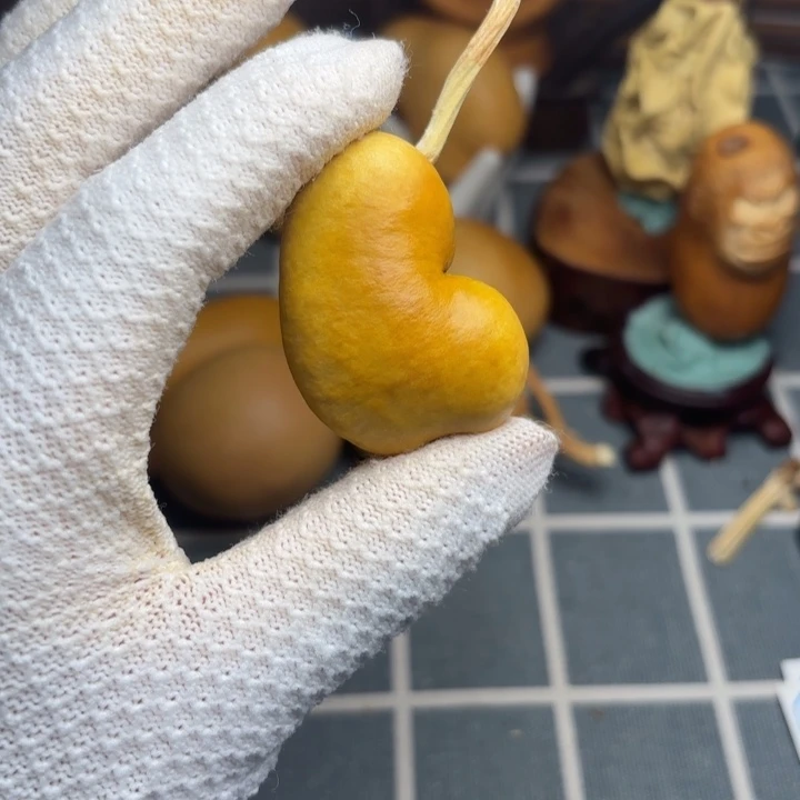 王***珍66666666666666666