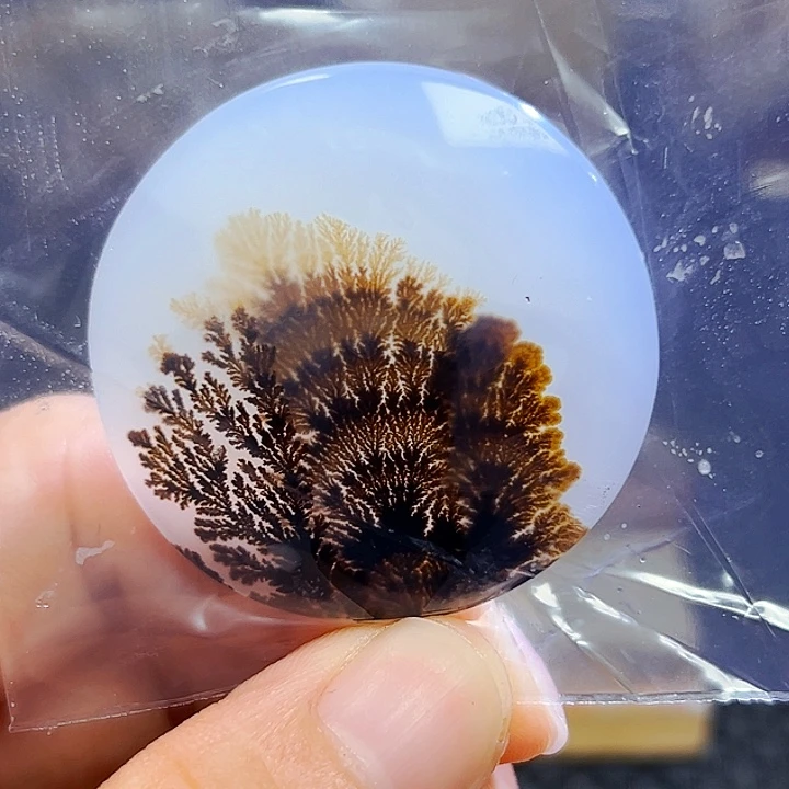 金***龙未镶嵌玛瑙/玉髓珠宝半成品