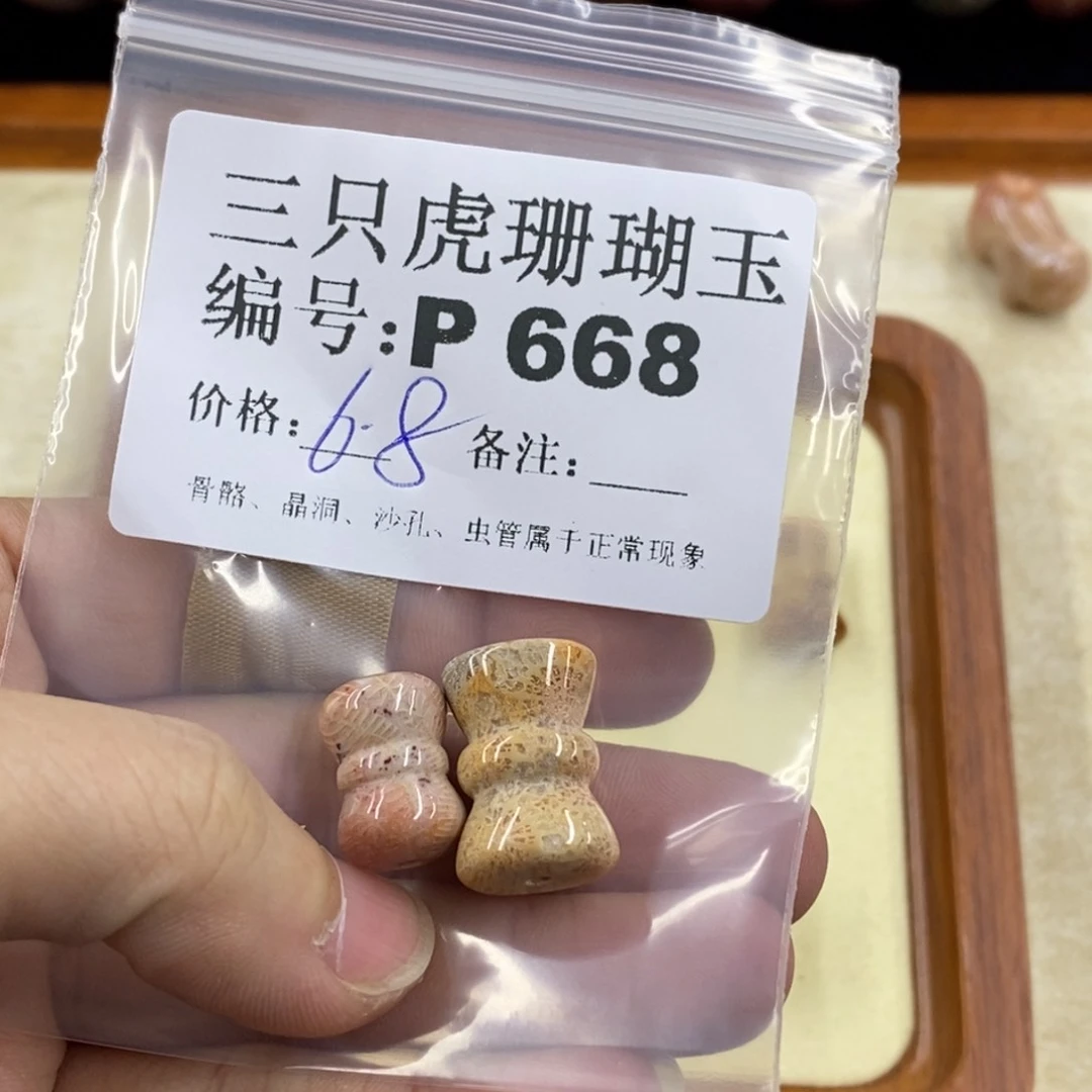 硅化珊瑚（珊瑚玉）1未镶嵌淡*