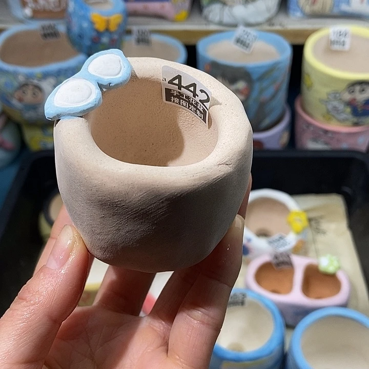 大舅生石花肉锥多肉442