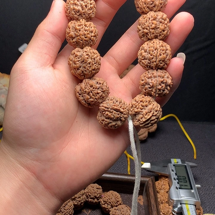 手串金刚菩提放漏五瓣