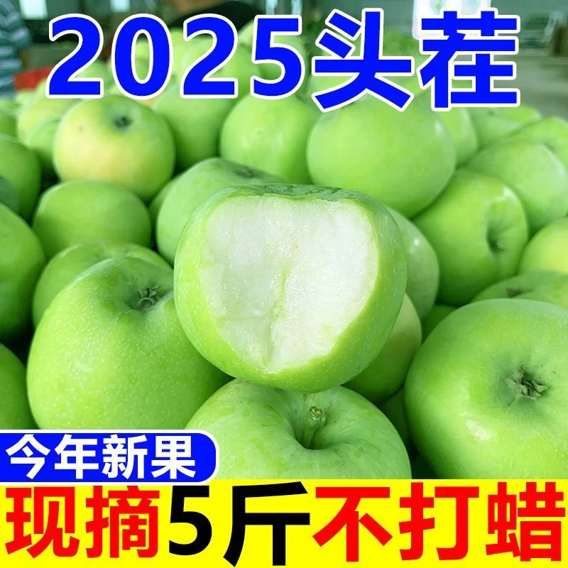 2025头茬青苹果新鲜现摘应季水果酸甜青苹果孕妇水果一整箱批发