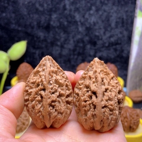 文玩核桃把件东北文玩核桃蚂蚁窝
