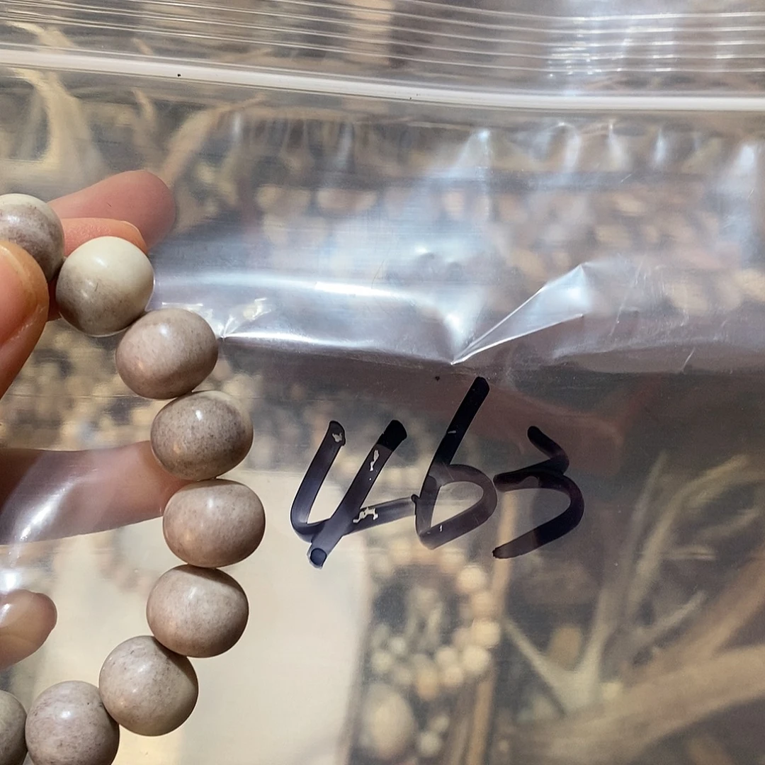 认***事非金属鹿角鹿角鹿角