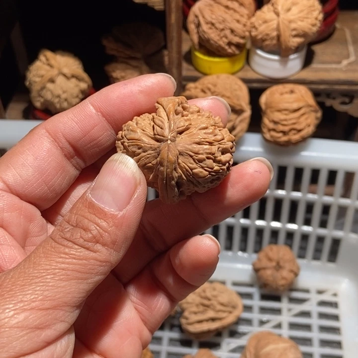 *****核桃白狮子尺寸33小水尖