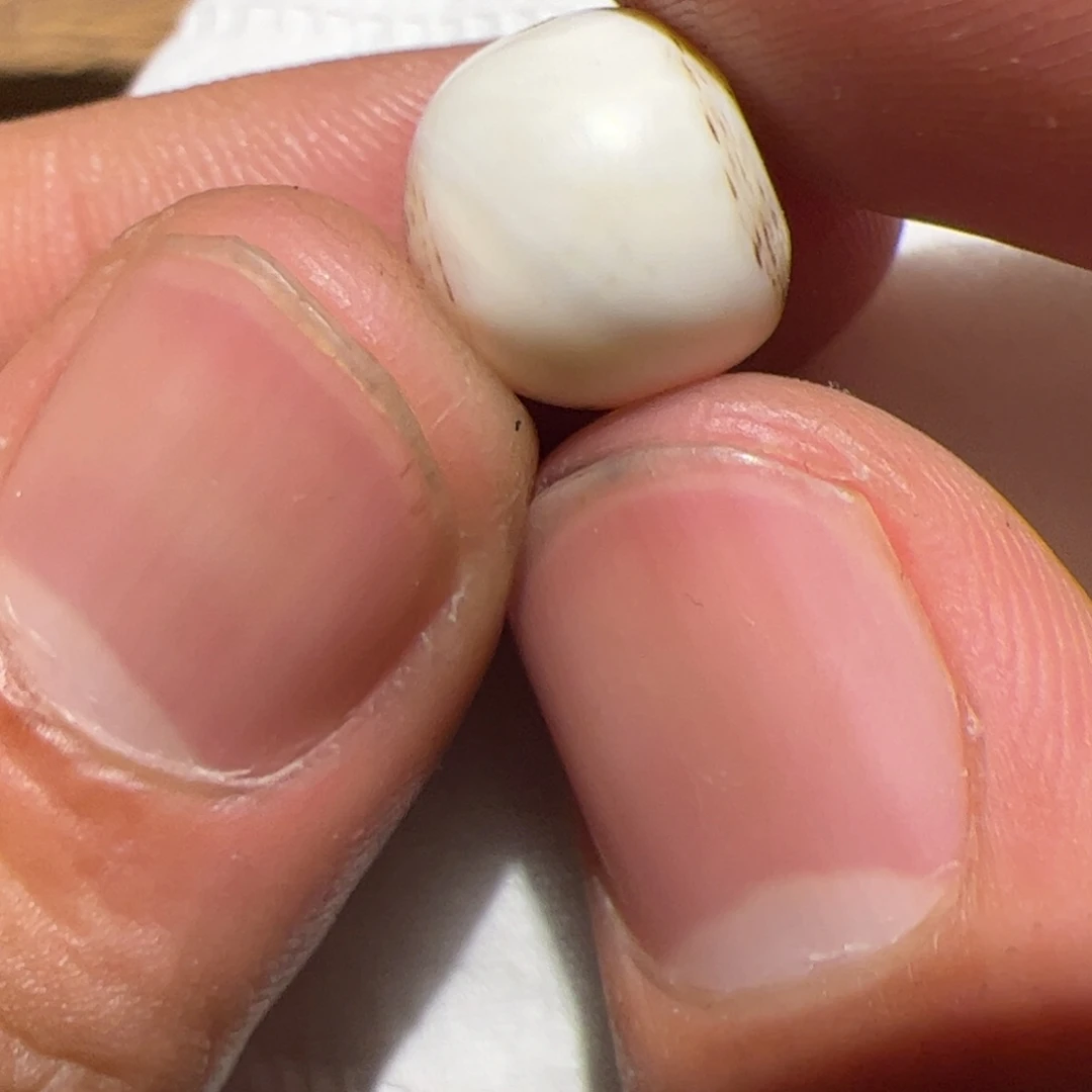 玻璃颈饰你是不是也