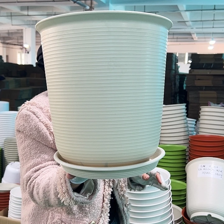 正品高陶口30高31米色带托3只