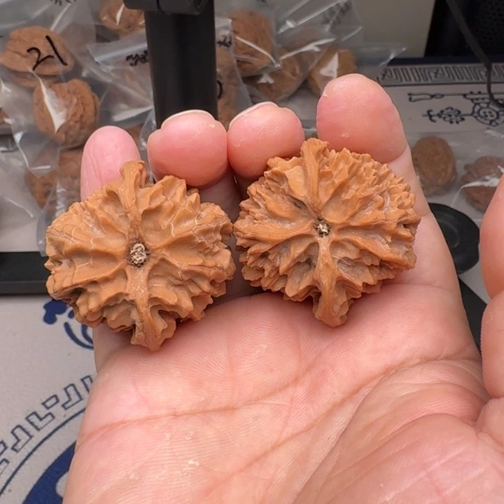 把件桃核山地苹果园41尺25