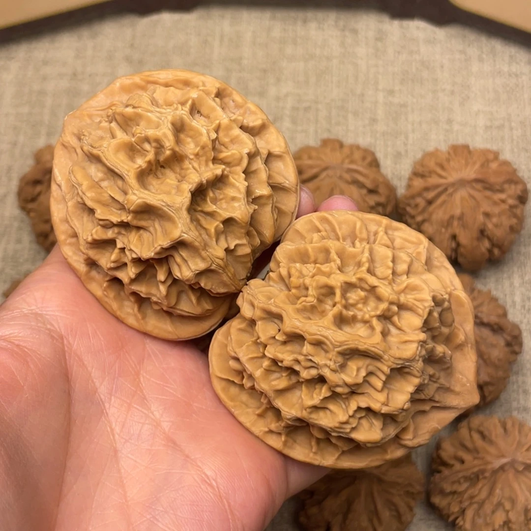 蜕***变核桃秦岭核桃36号（水尖）