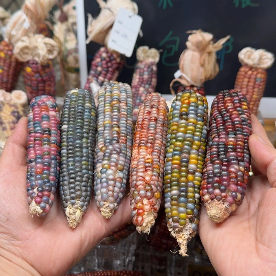 柏香籽/百香籽吊坠多****记