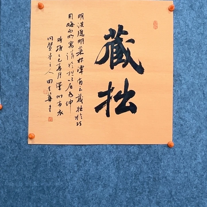书法回金华老师藏拙46×46