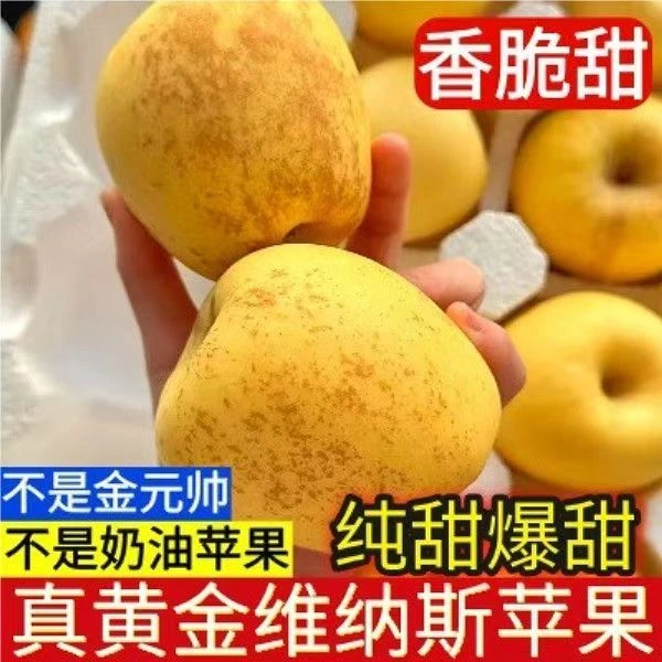 正宗维纳斯苹果山东沂蒙山脆甜多汁纯甜无酸整箱包邮孕妇水果
