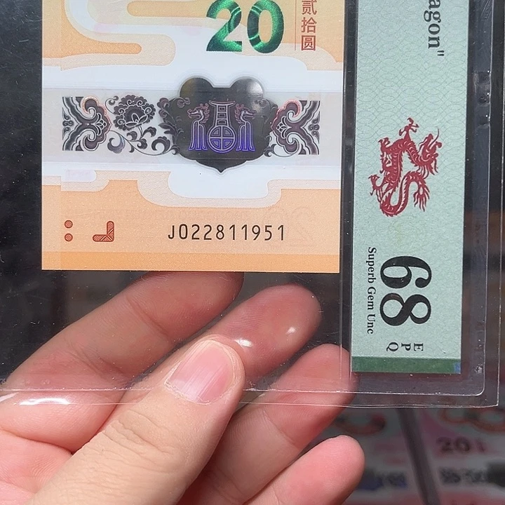 塑料龙钞啊啊啊啊啊啊啊