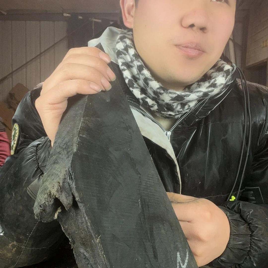 金丝楠金丝楠木金丝楠木