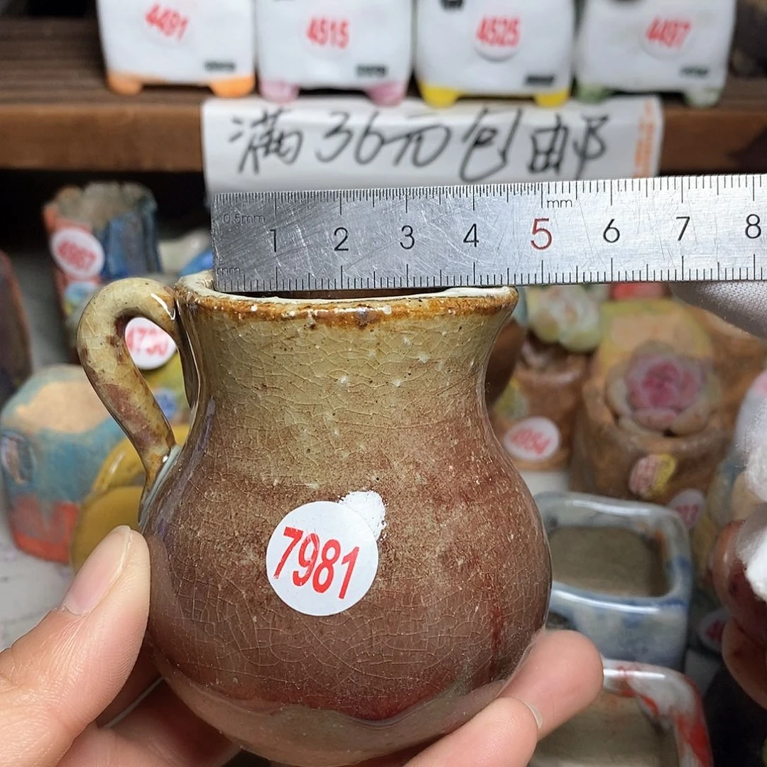 红陶拍5送一个小