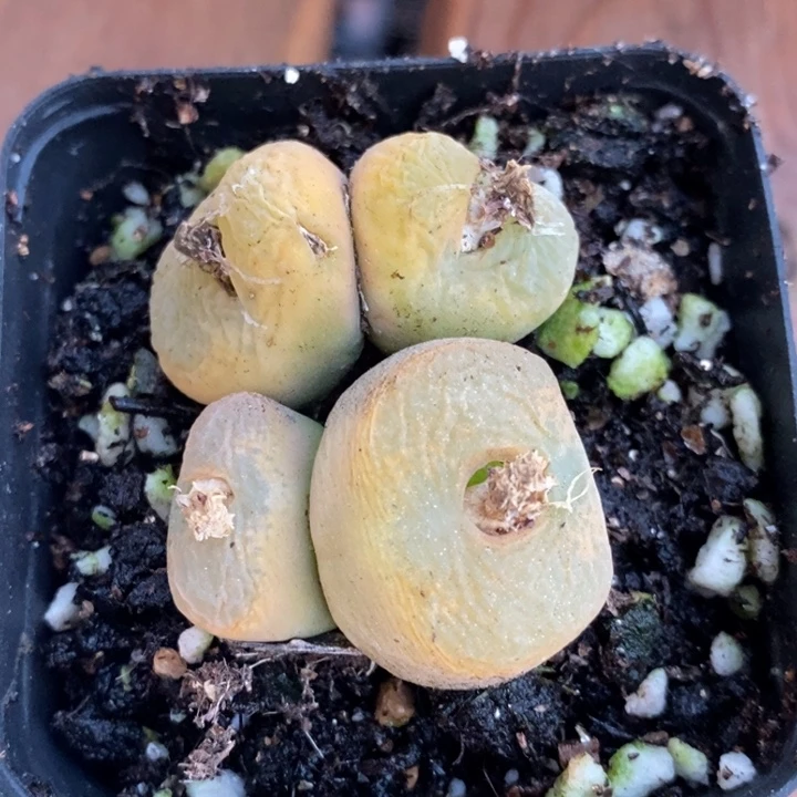 4119一组一组一组