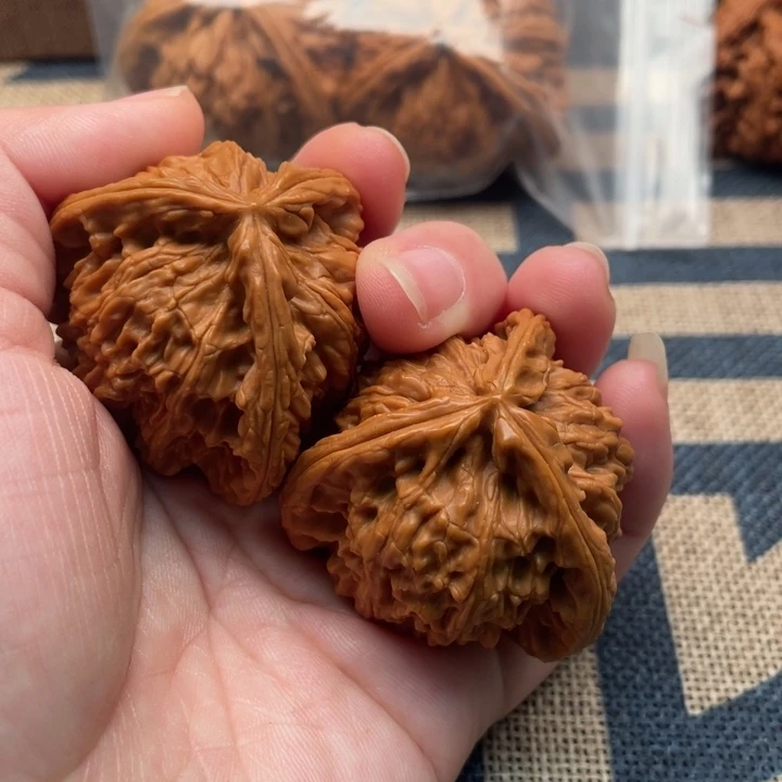 鹤***归核桃白狮子40核桃