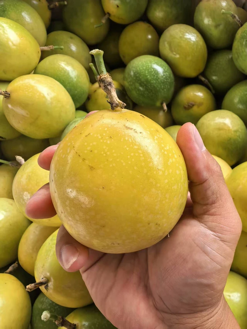 广西钦蜜9号百香果新鲜包邮香甜多汁当季水果（特大果）