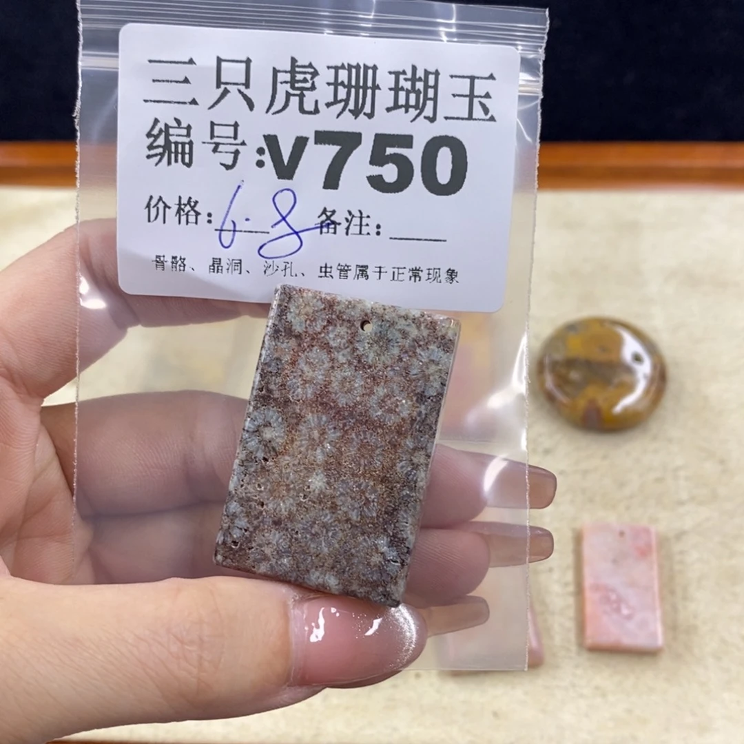 硅化珊瑚（珊瑚玉）未镶嵌1石****玩