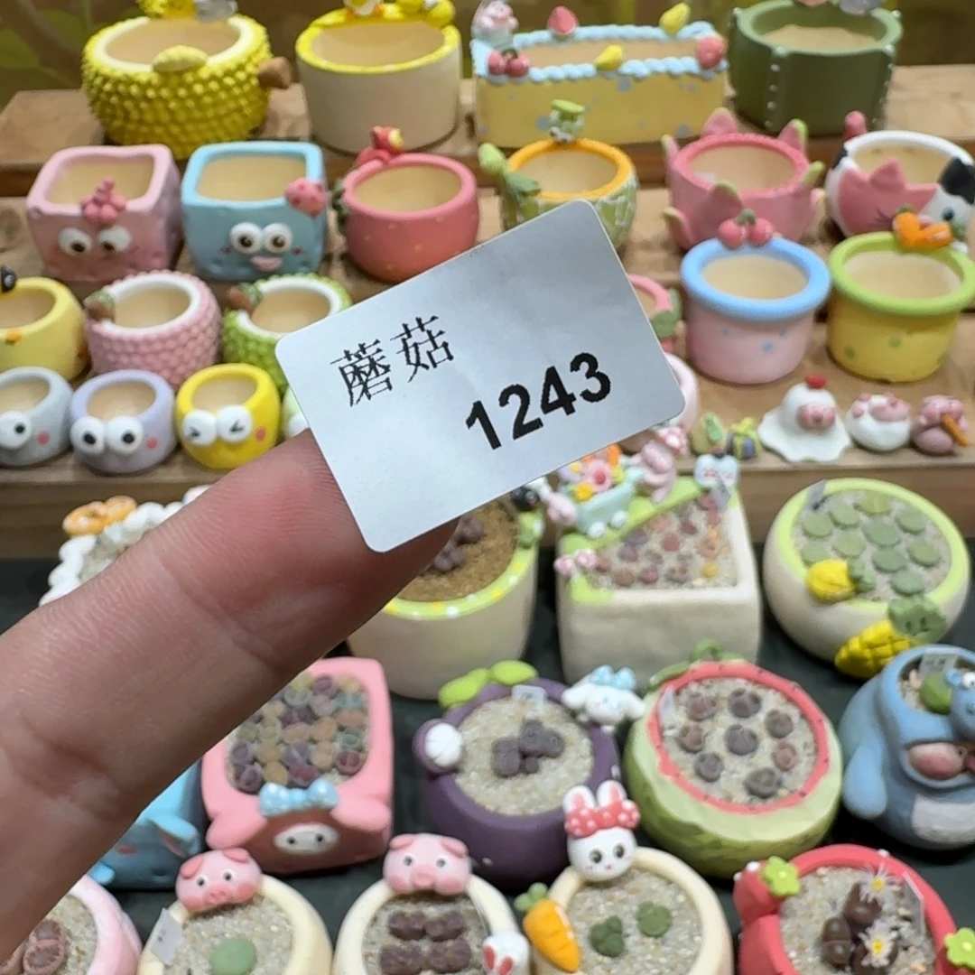 小***乖蘑菇1243花盆花盆花盆