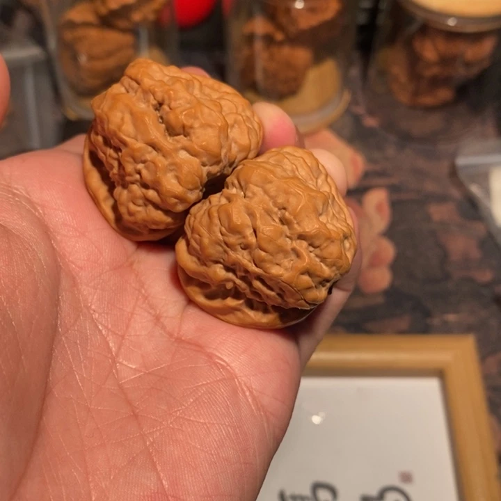 文玩核桃把件41尺蛤蟆头