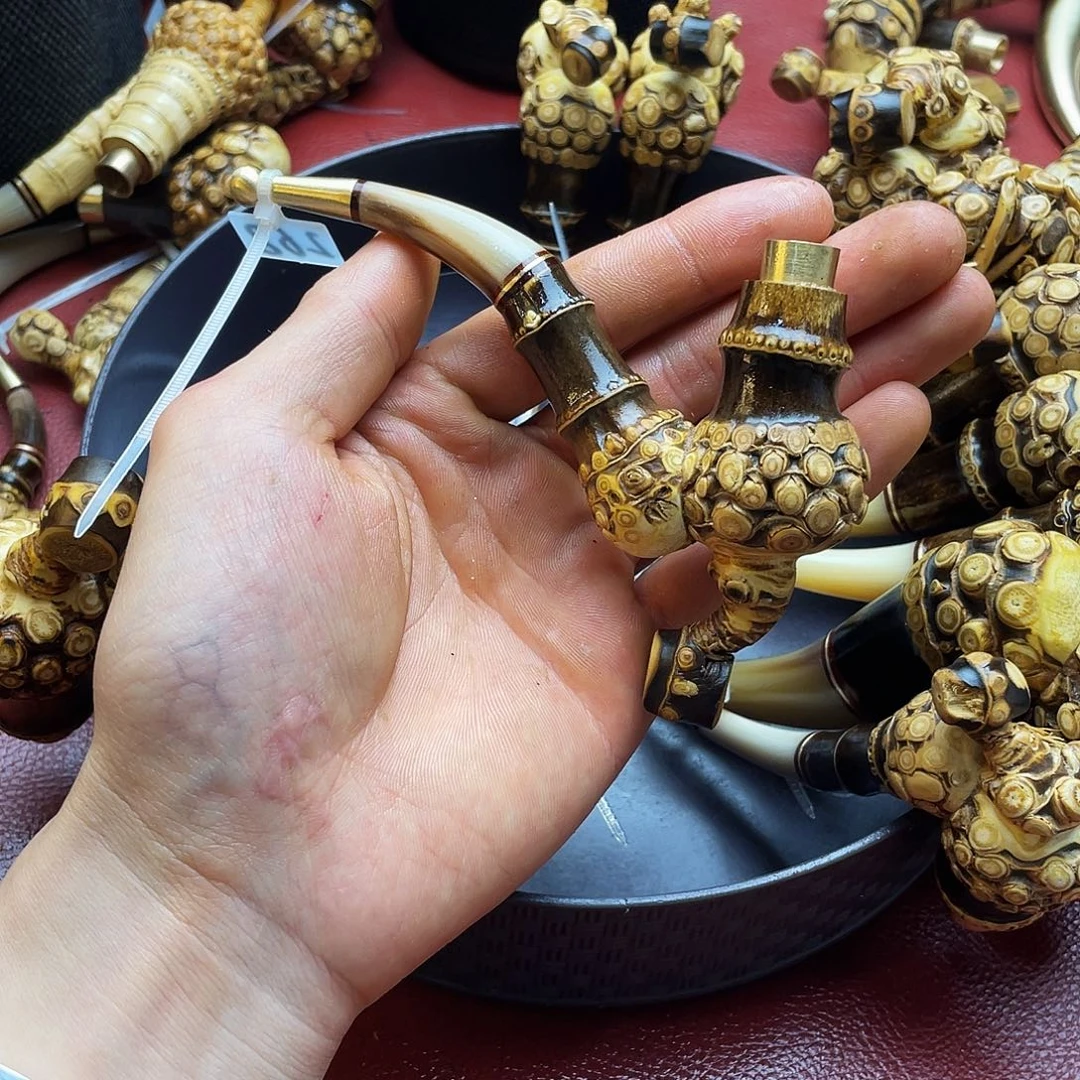 香榧木mmmmmmmmmmmmmmmmmmmm