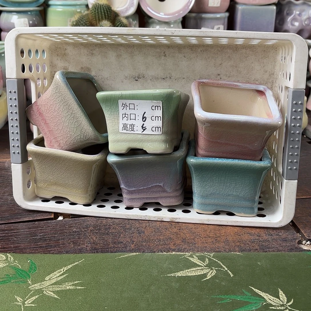量货/6口高5深浅搭配发6