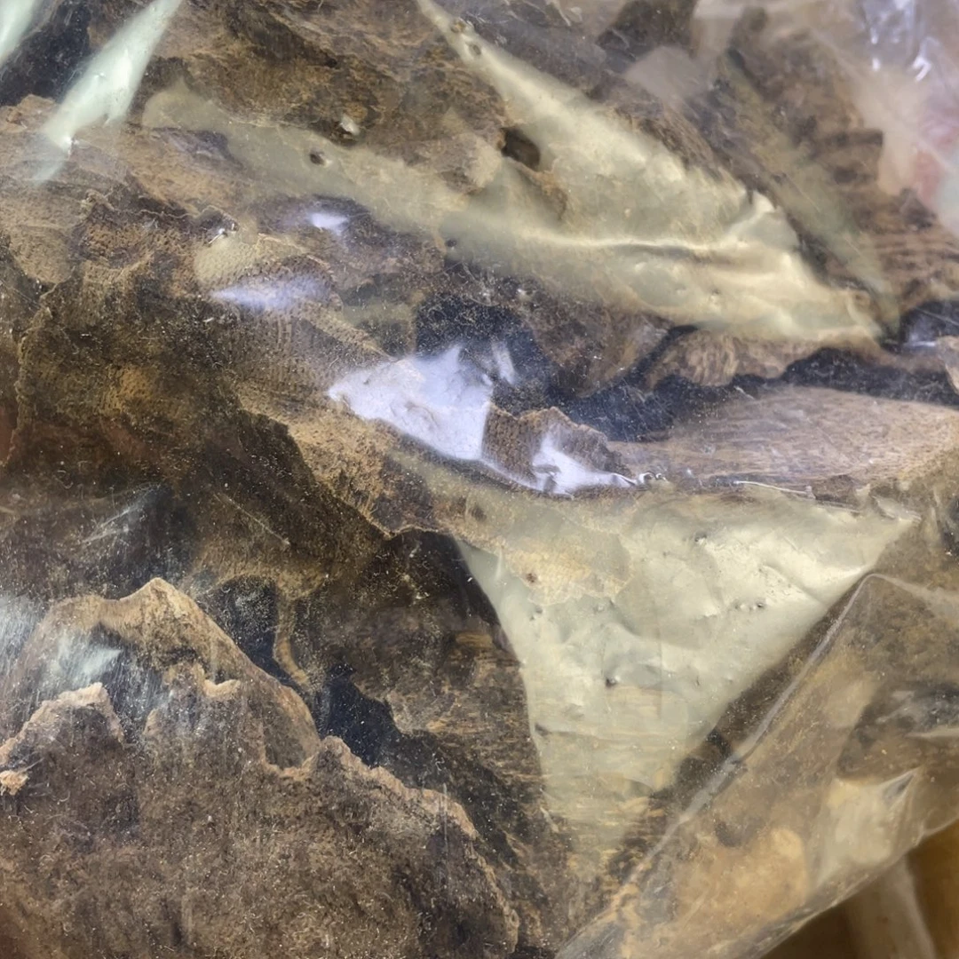 沉香沉香碎屑富森壳子100克