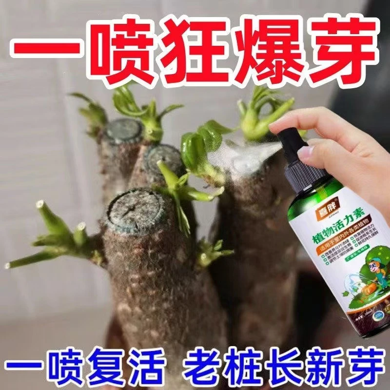 一喷猛出芽】老桩催芽剂液体促芽僵苗快速发新芽防黄叶营养复活液
