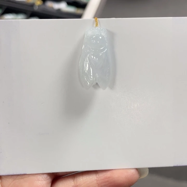 翡翠未镶嵌颈饰一鸣惊人