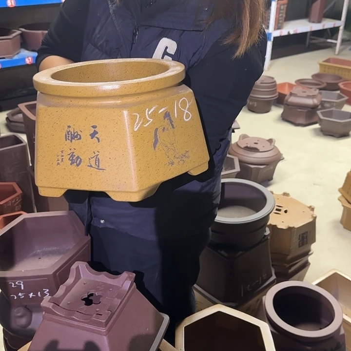 花盆紫砂我的心好