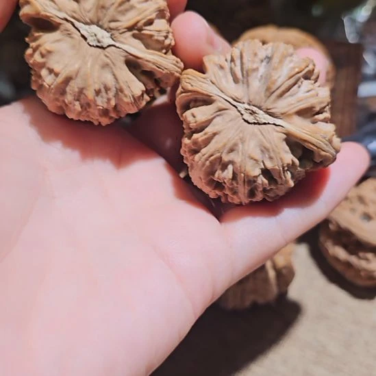 吊坠文玩核桃43白狮子