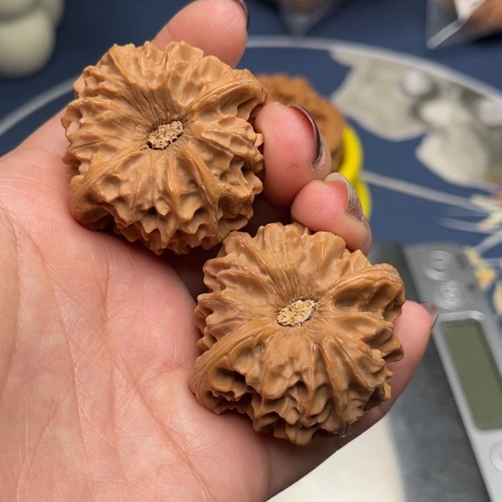 文玩核桃把件皓**属龙门涧42