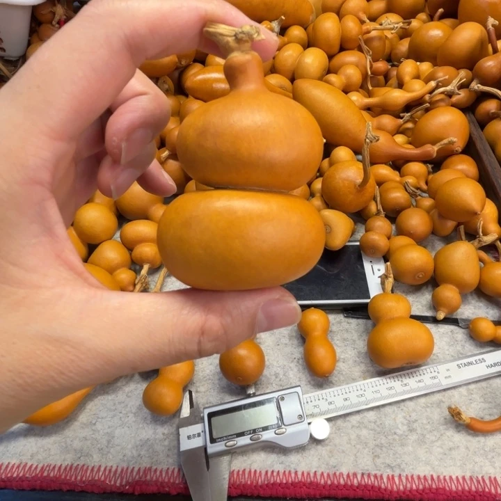 小****小玖的一把葫芦就被