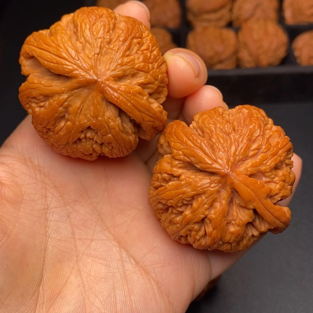 秦岭野生文玩核桃