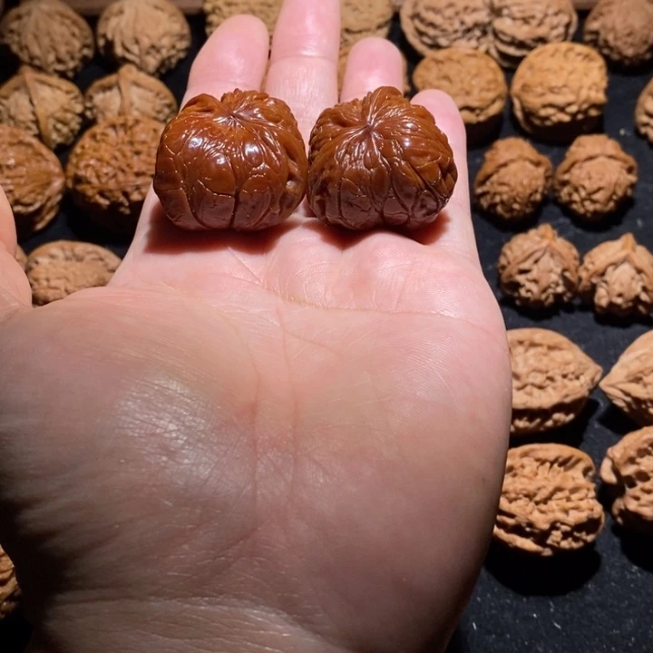 原生态磨盘飞蛇1对