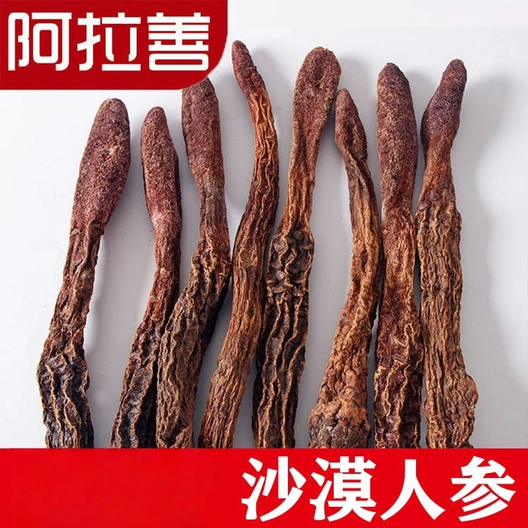 阿拉善锁锁荒漠肉苁蓉金锁蓉锁泡水料