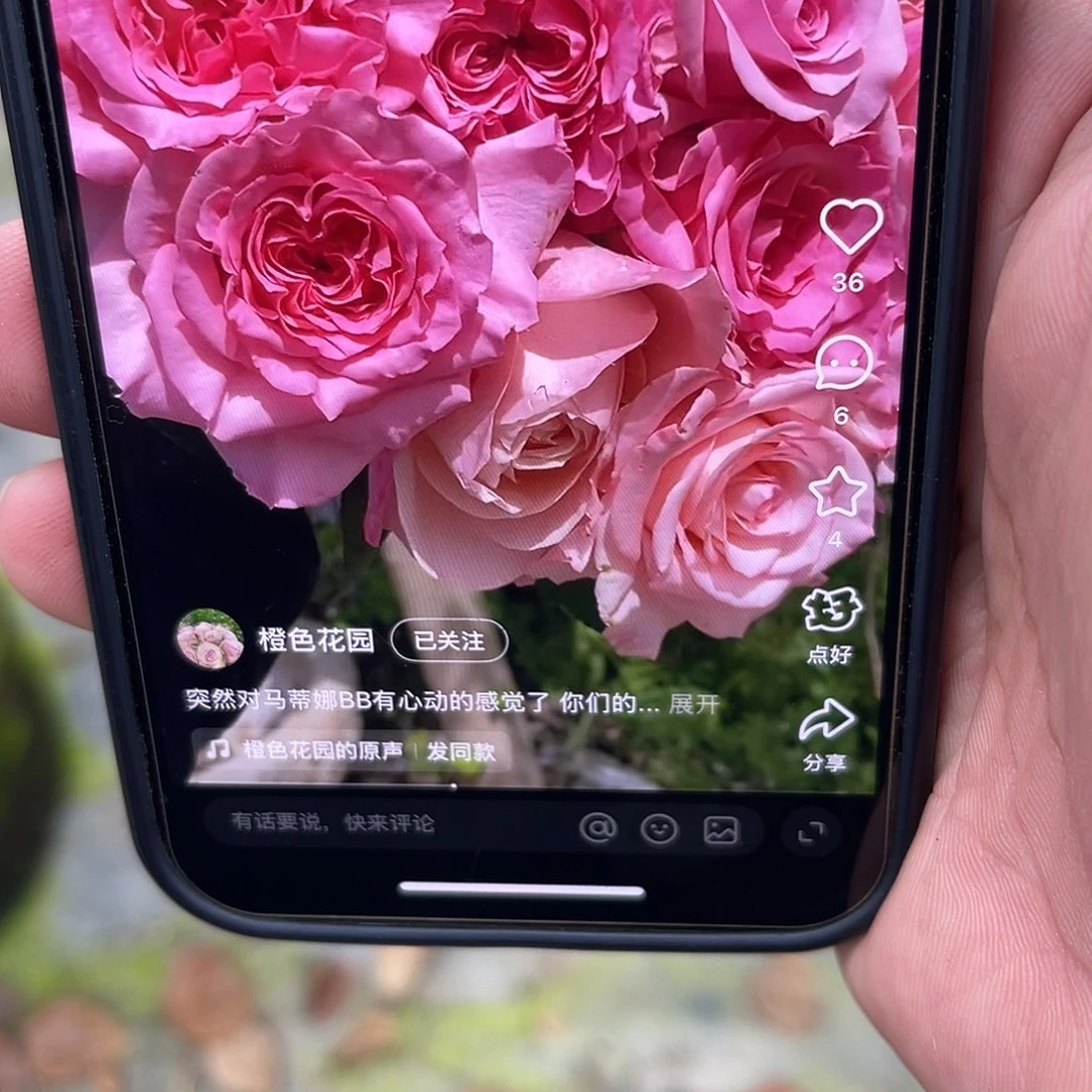 无花朵———-玛蒂娜 福利款