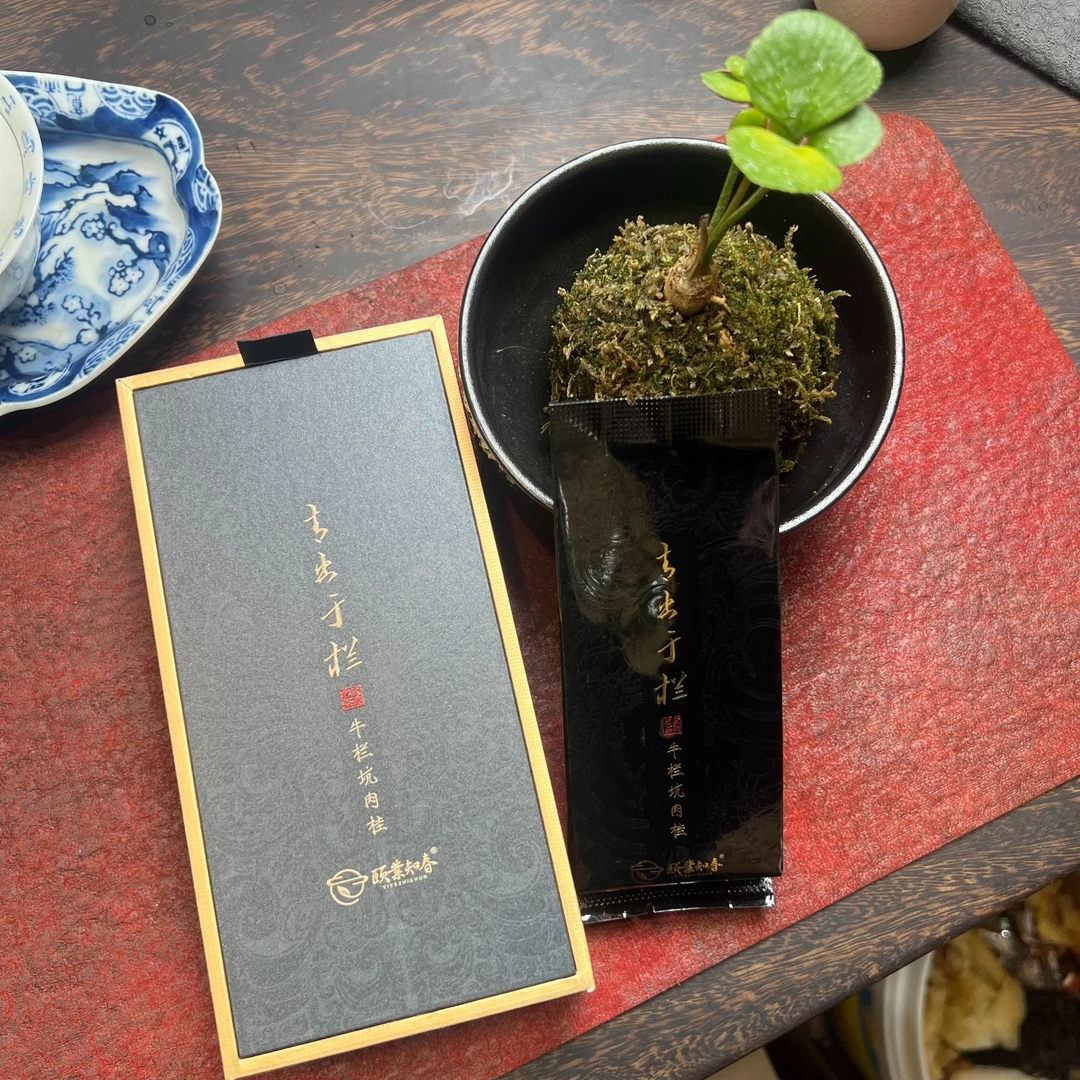 【青出于栏】PK牛栏坑肉桂醇厚鲜爽唇齿留香--颐業知春茶叶