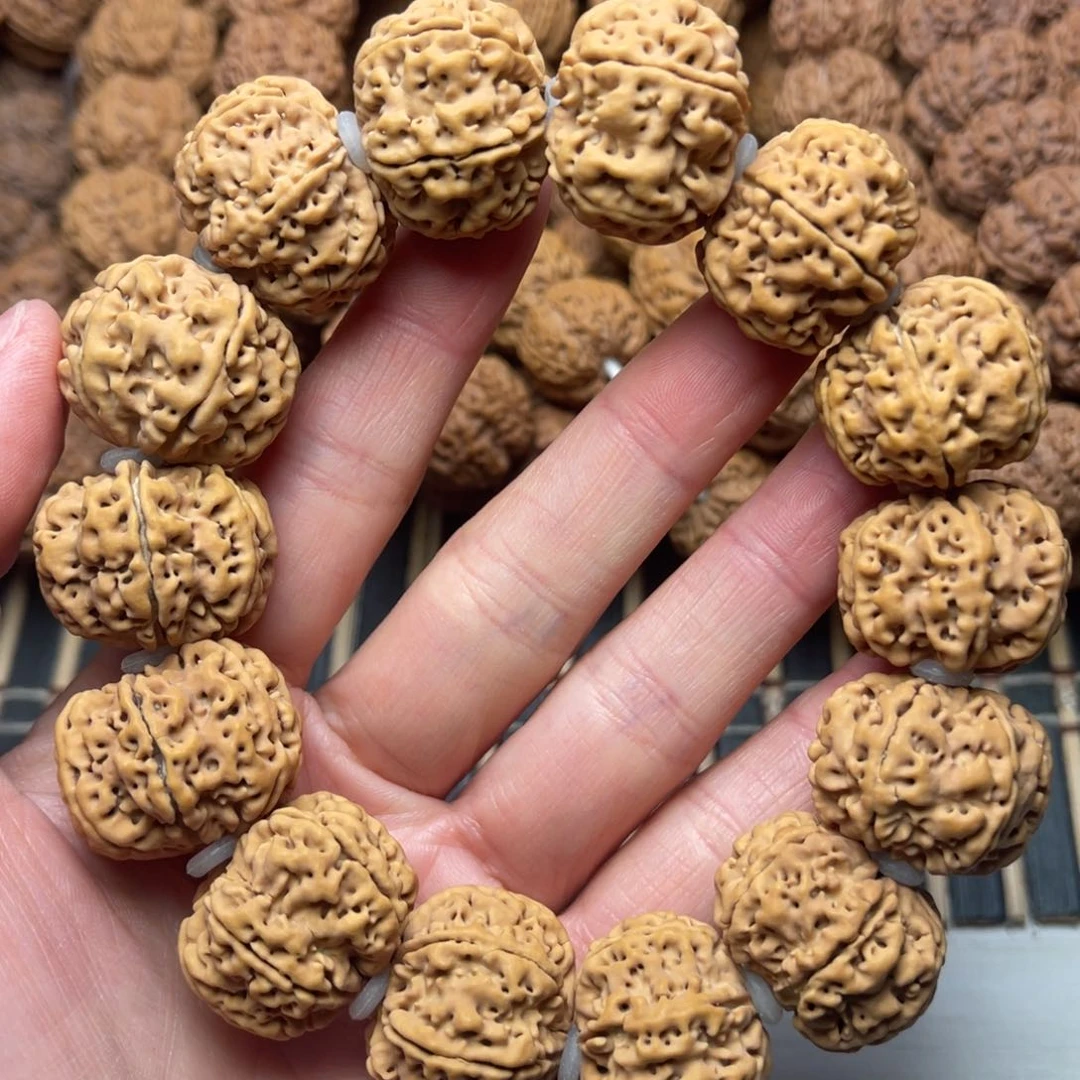 菩提2号金刚菩提原生态六瓣24