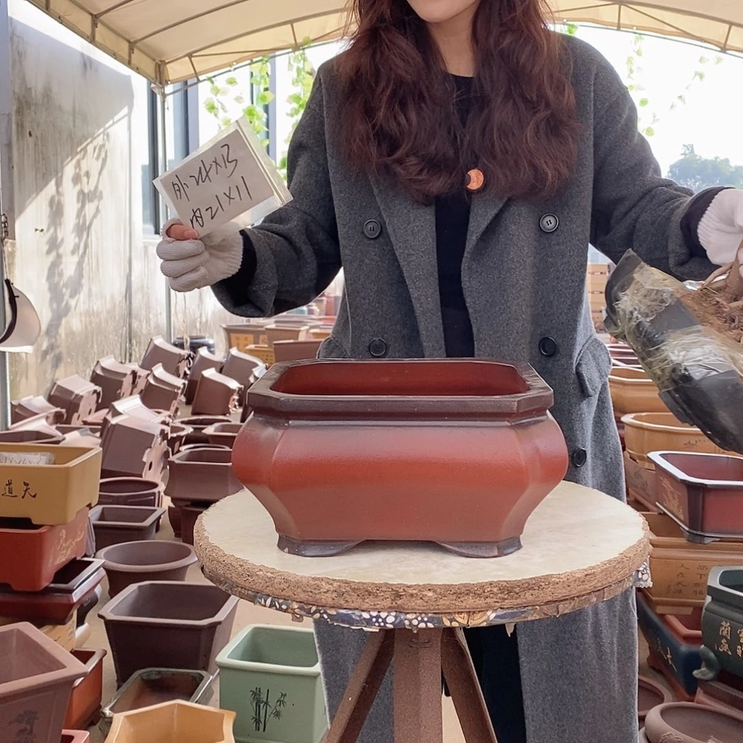 紫砂花盆紫砂花盆