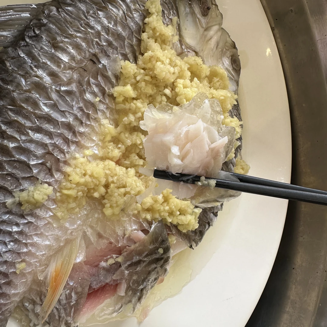 [勇鲍]广东忘不了鱼培育苏丹鱼野果鱼500~600g