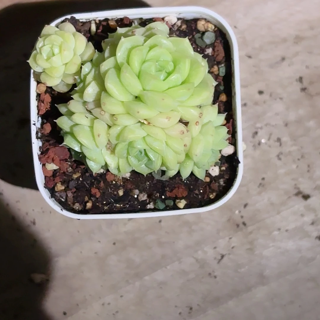 逆*逆112点热度热度热度热度人的人
